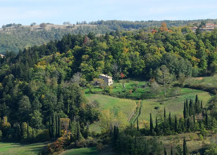 Agriturismo La Piaggia Appartamenti A Vivo D\'Orcia