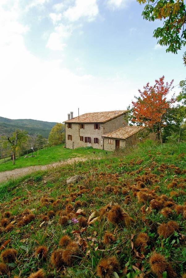 Apartment La Piaggia A Vivo d'Orcia
