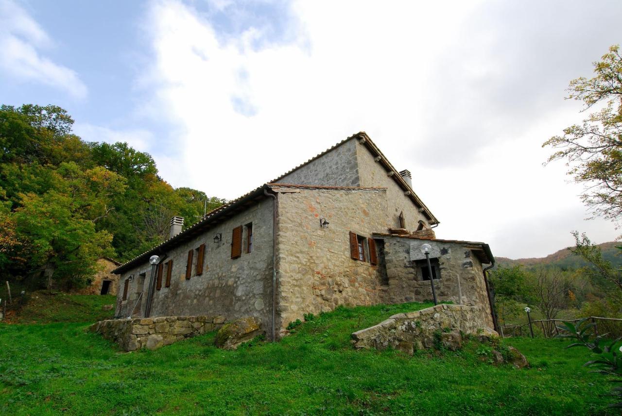 Apartment La Piaggia A Vivo d'Orcia