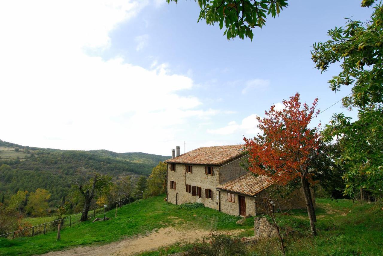 La Piaggia A Apartment *
