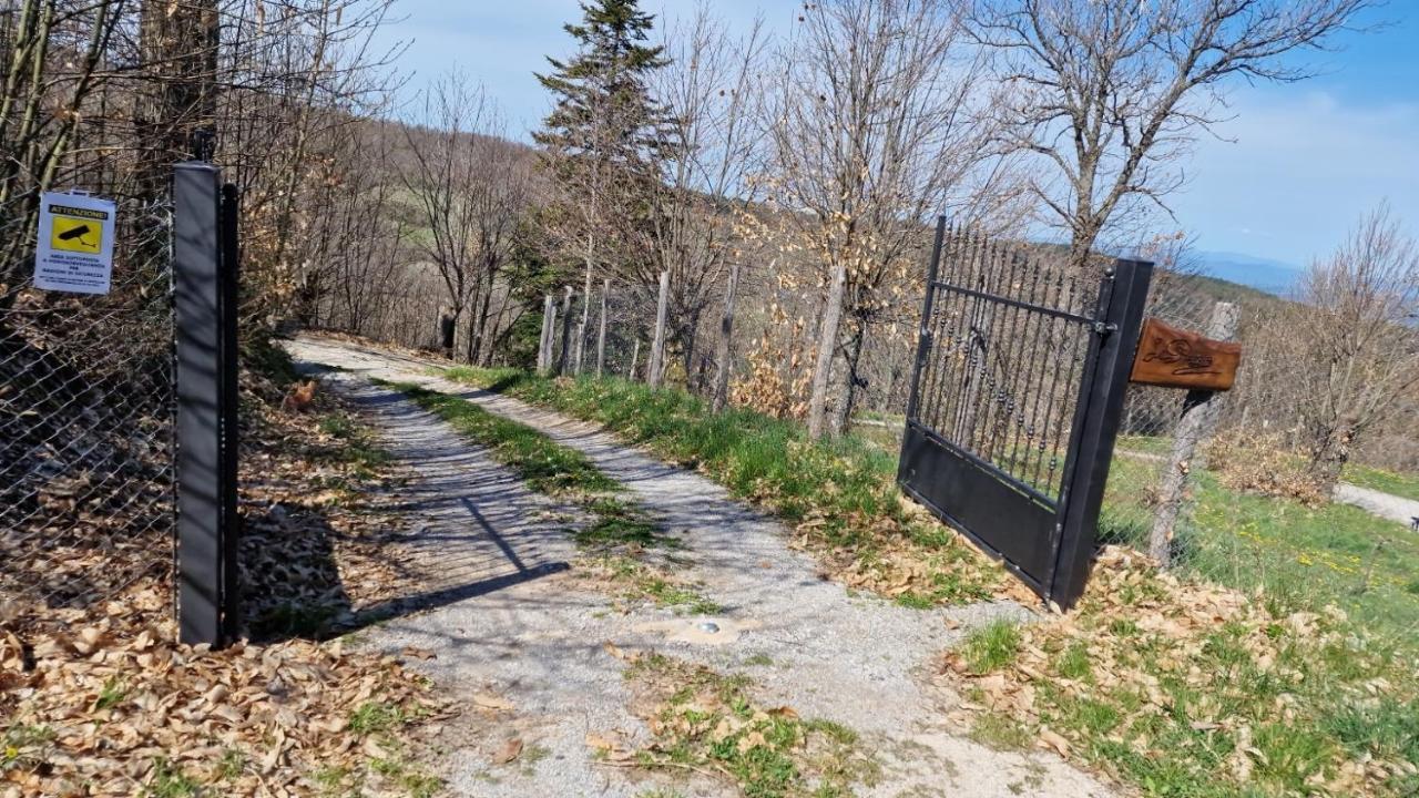 La Piaggia A Vivo d'Orcia