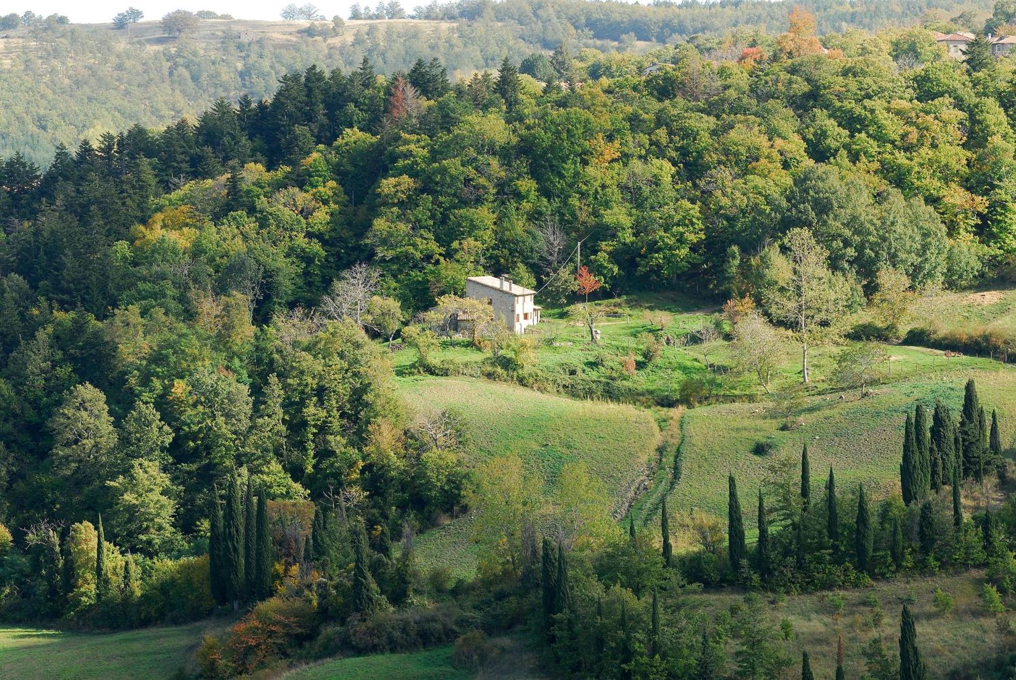 La Piaggia A Vivo d'Orcia